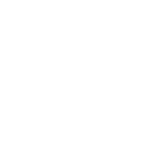 logo pzł