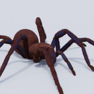 Grafika Plus - Agencja Reklamowa Jarosław 36 grafika plus jarosław 3d